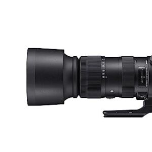 Sigma 60-600mm f/4.5-6.3 DG OS HSM Sports Lens (Canon EF)