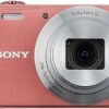 Sony WX350 18 MP Digital Camera (Pink)