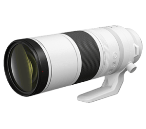 Canon RF 200-800mm f/6.3-9 IS USM Lens