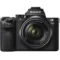 Sony Mirrorless Camera