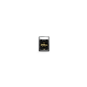 HOMAN CF Express Card
